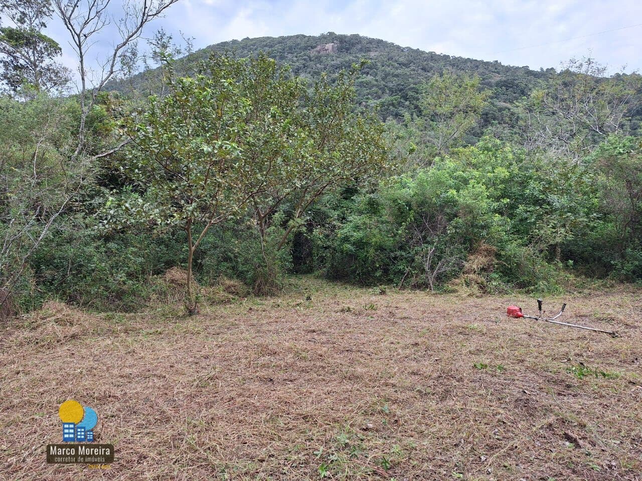 Lote/Terreno em Florianópolis - São João do Rio Vermelho