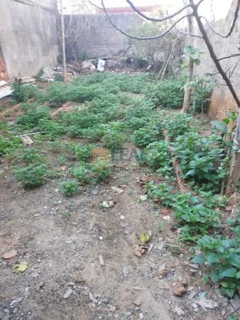 Lote/Terreno em Sorocaba - Parque das Paineiras