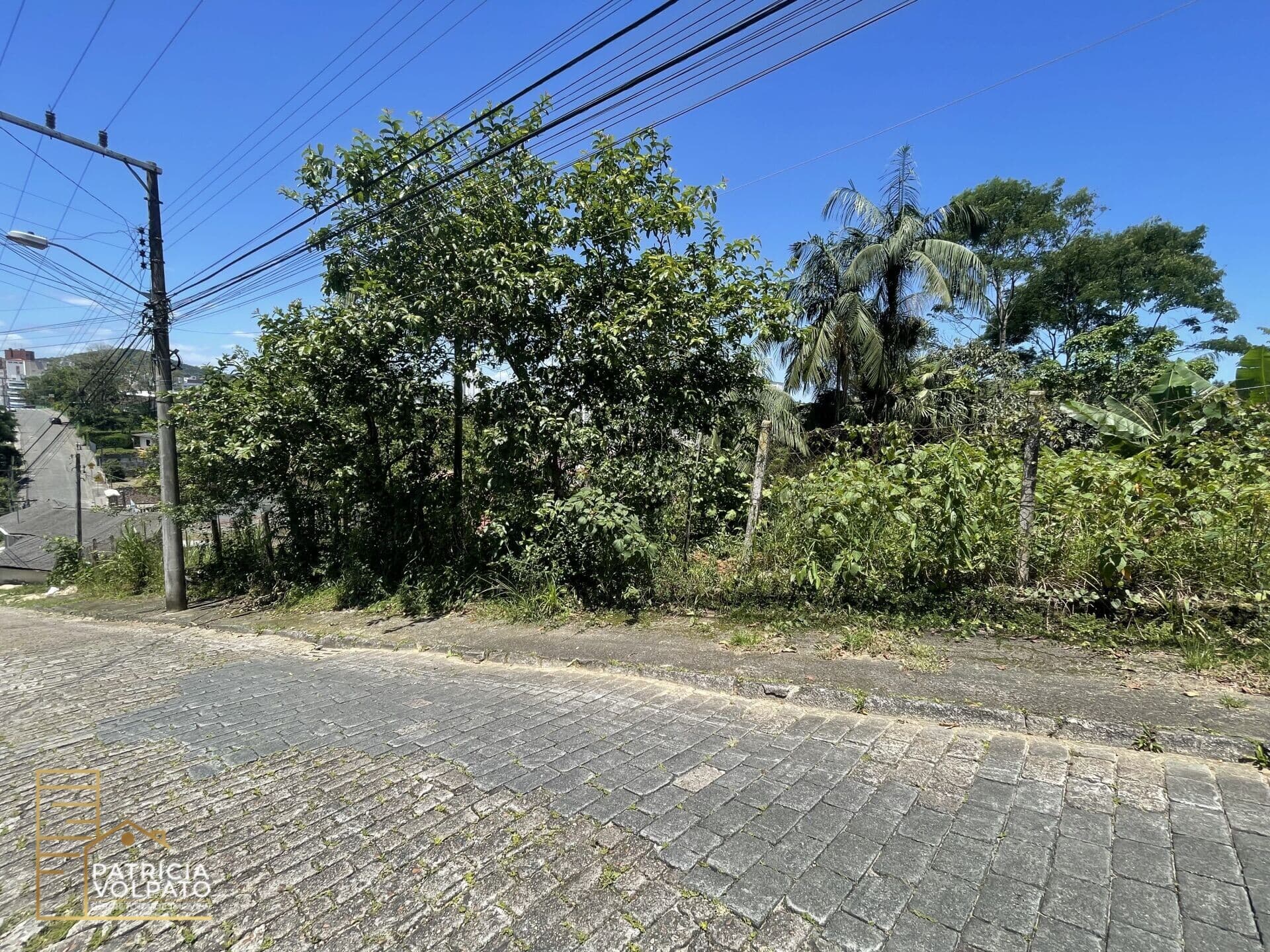 Terreno ZR1