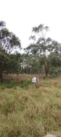 Lote/Terreno em Laguna - Praia do Sol