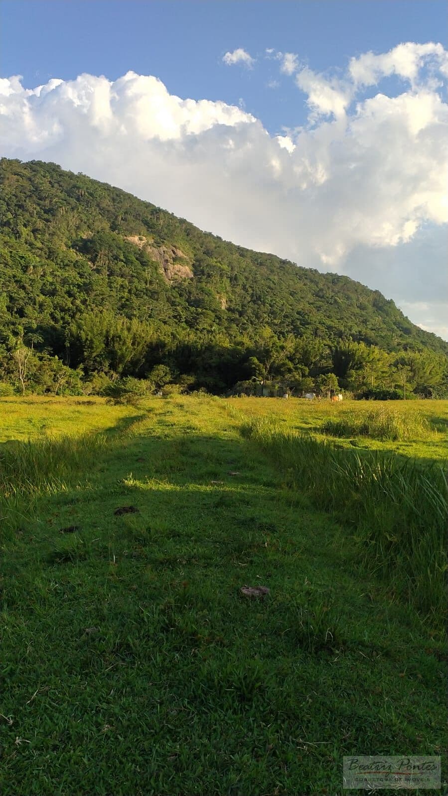 Lote/Terreno em Palhoça - Pinheira