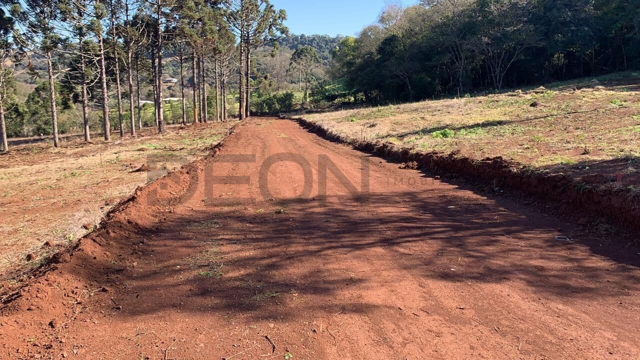 Fazenda/Sítios/Chácaras em Cascavel - Área Rural de Cascavel