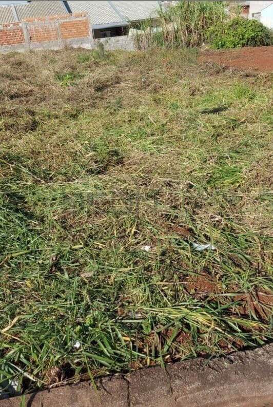 Terreno em Floresta, Cascavel/PR