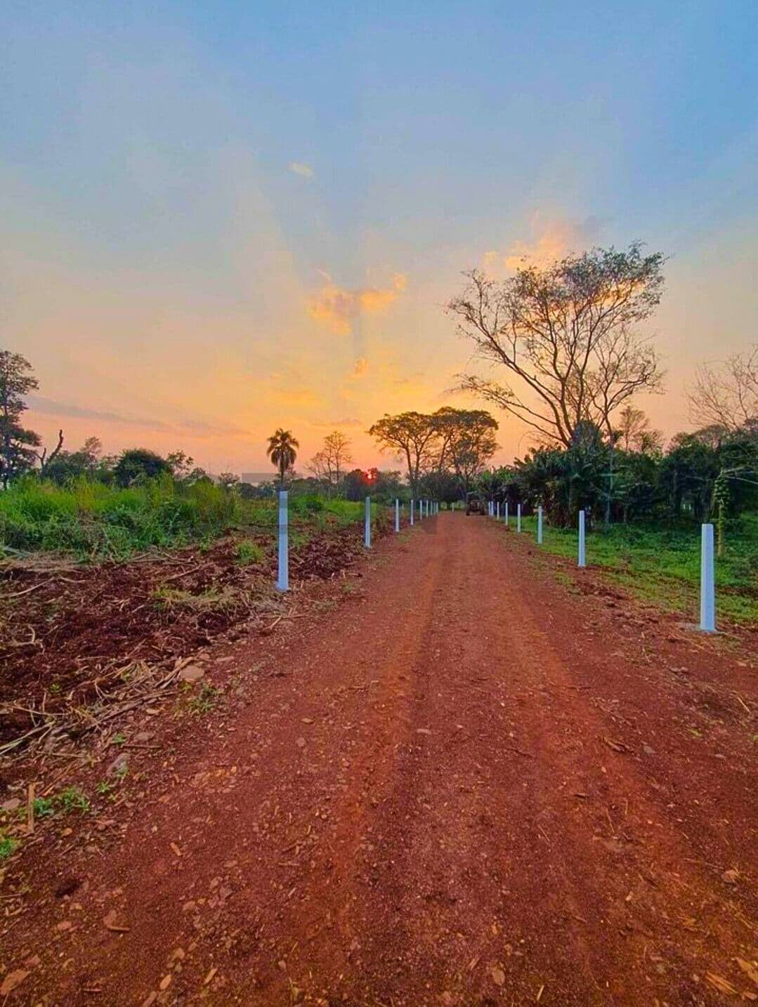 Fazenda/Sítios/Chácaras em Cascavel - Área Rural de Cascavel