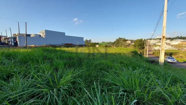 Lote/Terreno em Cascavel - Floresta