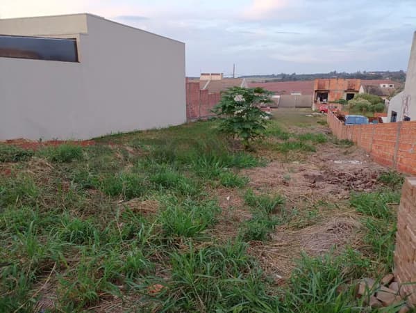 Lote/Terreno em Cascavel - Floresta