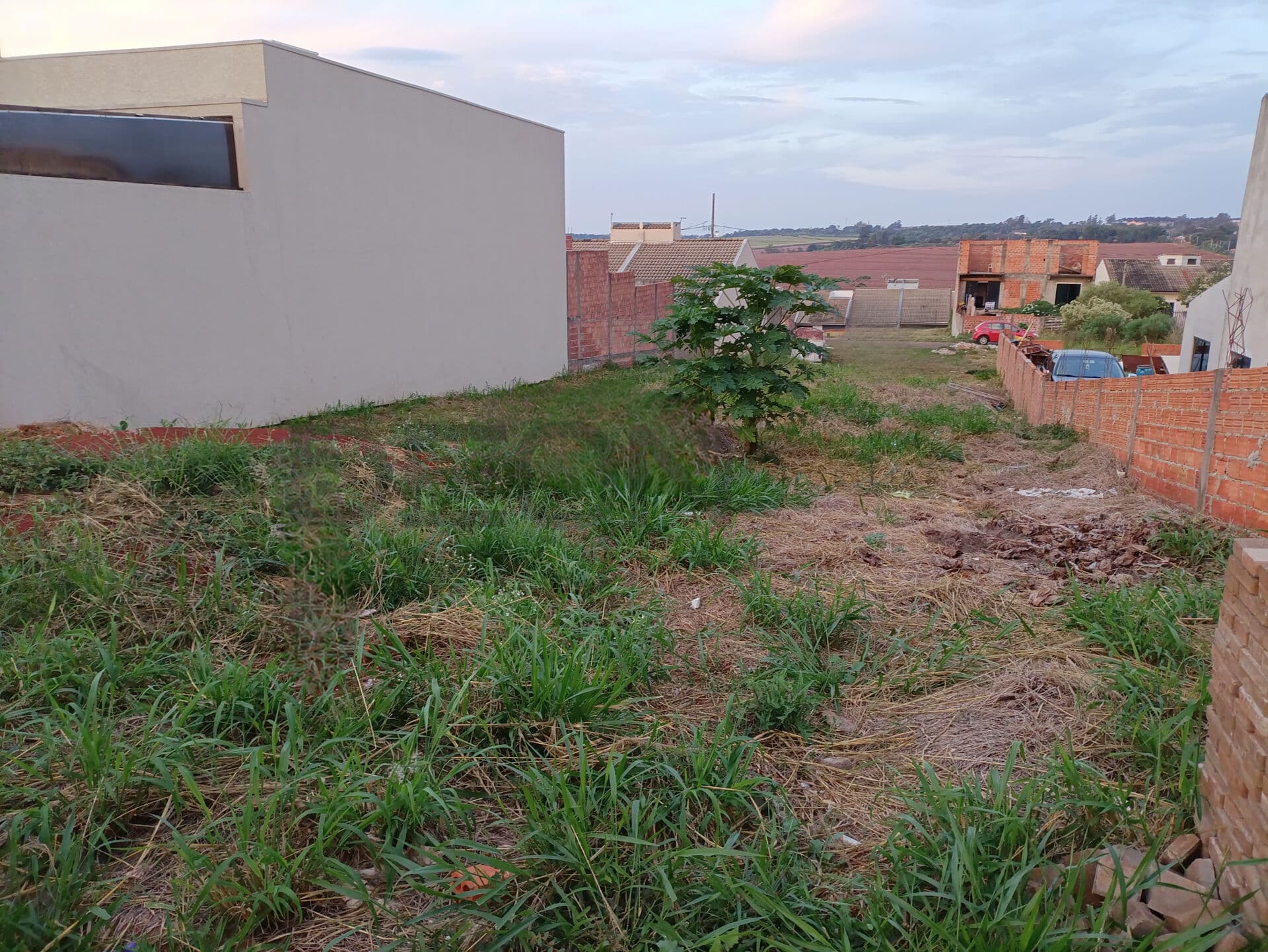 Lote/Terreno em Cascavel - Floresta
