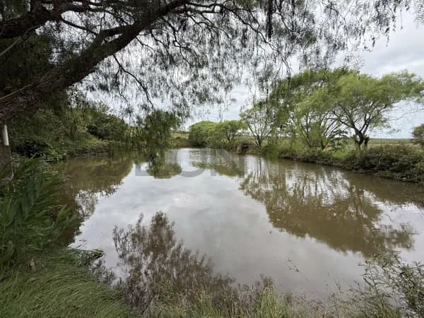 Fazenda/Sítios/Chácaras em Cascavel - Bom Retiro