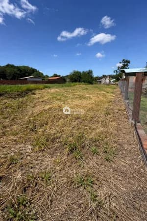 Lote/Terreno em Porto Alegre - Lageado