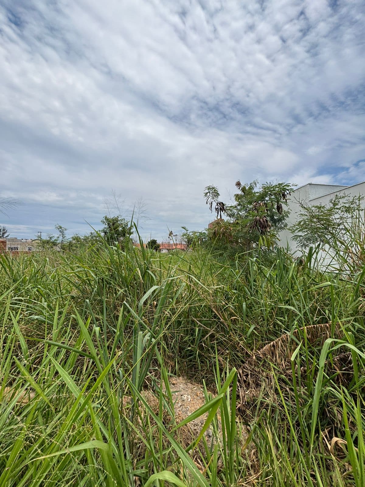 Lote/Terreno em Maricá - Jardim Atlântico Leste (Itaipuaçu)