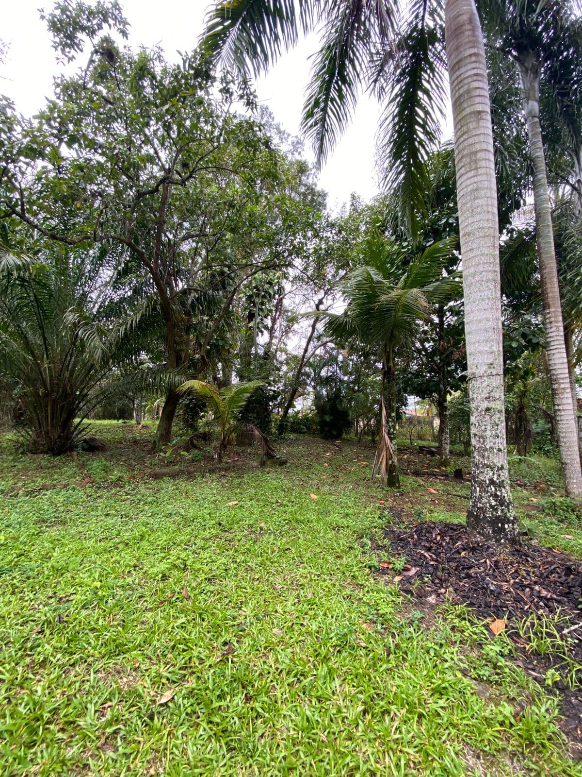 Lote/Terreno em Maricá - Morada das Águias (Itaipuaçu)