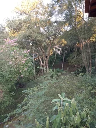 Lote/Terreno em Teresópolis - Albuquerque