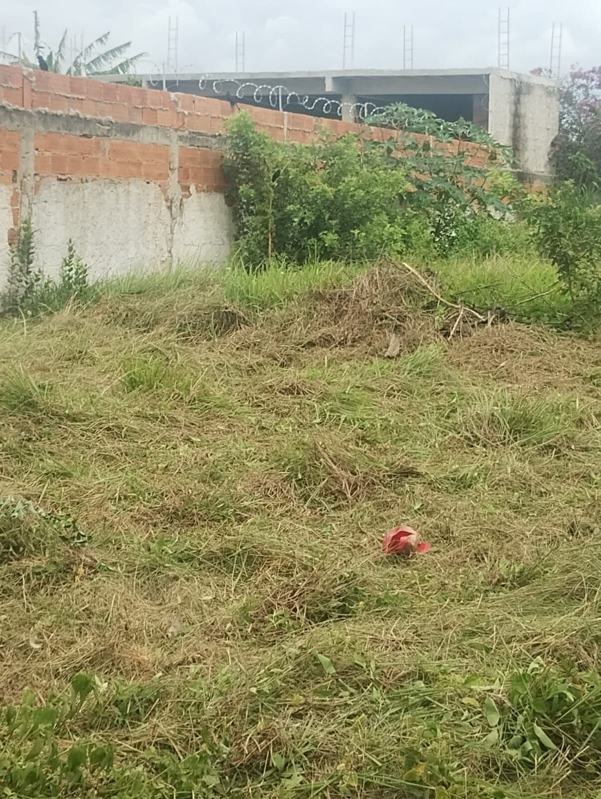 Terreno IGUABINHA
