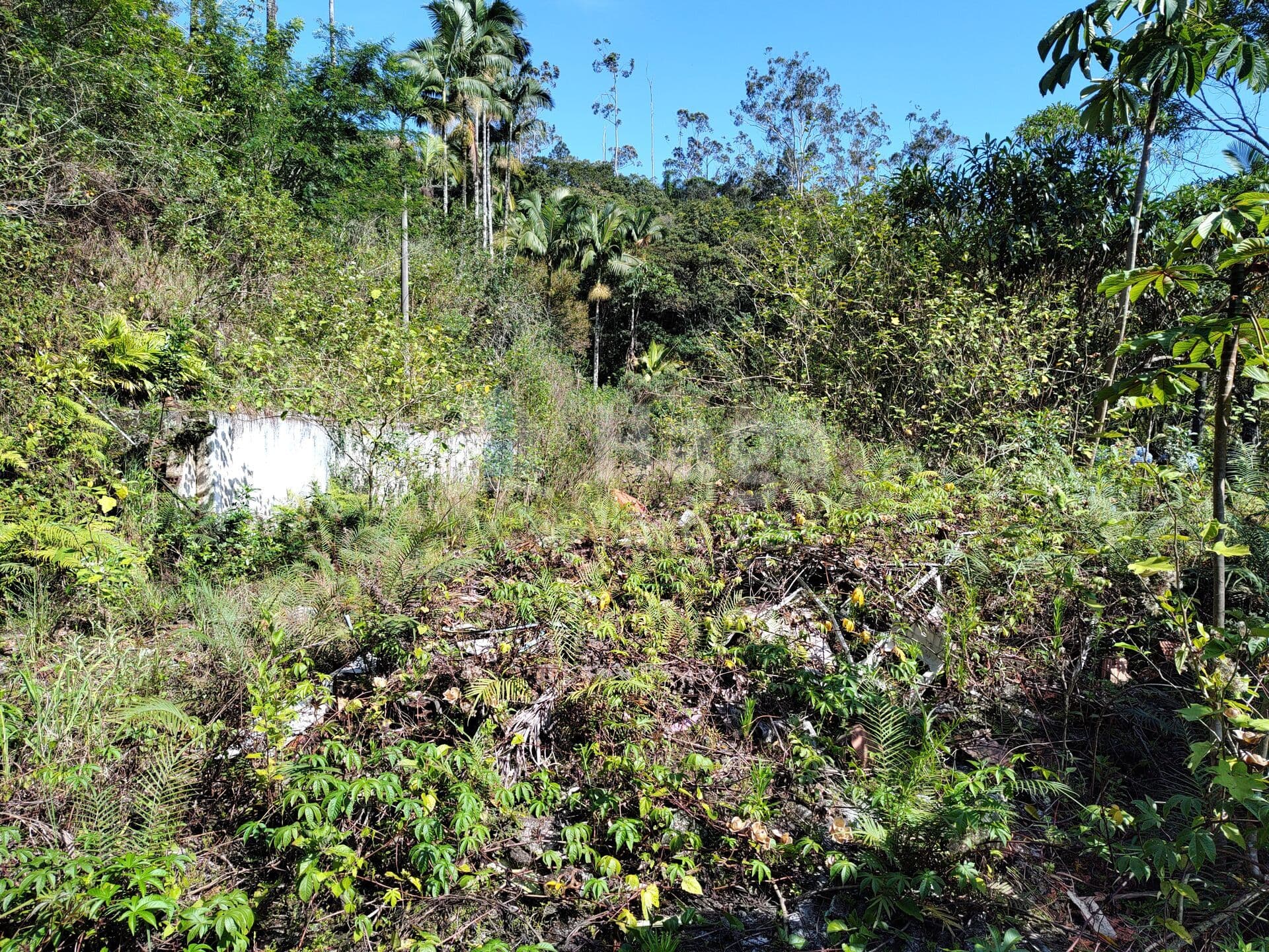 Terreno residencial ou comercial no bairro Primeiro de Maio em Brusque/SC