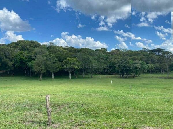 Terreno em Condomínio - Lagoa