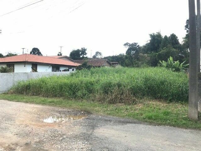 Terreno Lote na Vila Solene em Campo Largo