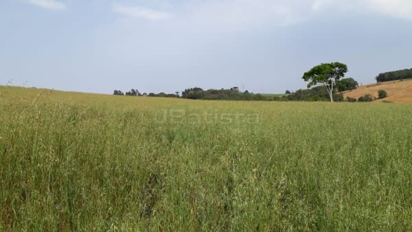 Área Industrial / Comercial