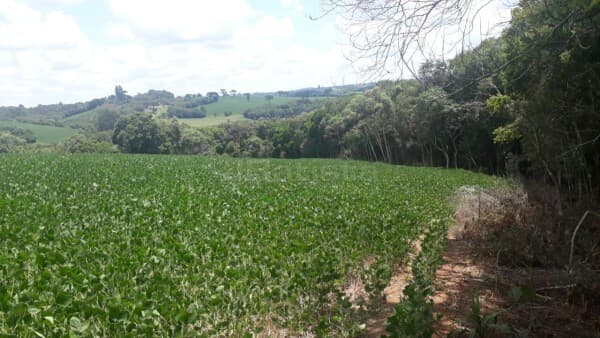Área Colonia Balbino Cunha