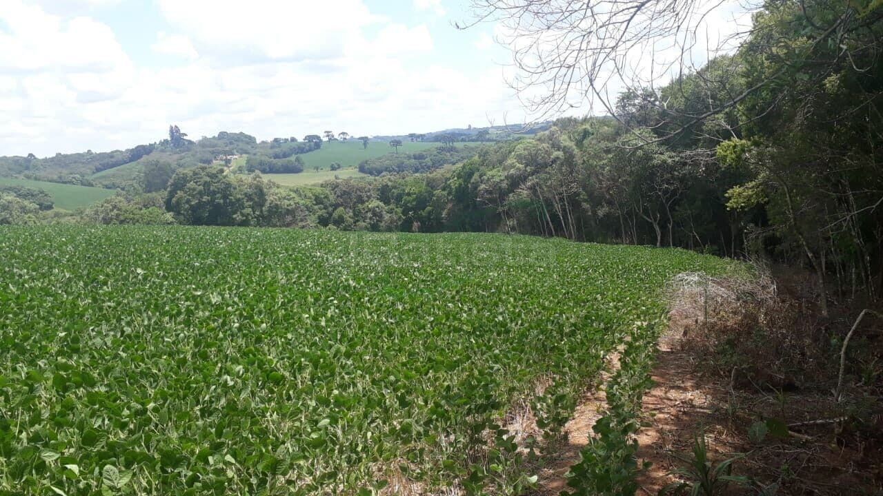 Área Colonia Balbino Cunha