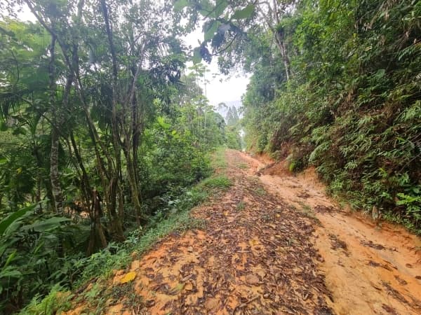 Terreno de 21 mil metros quadrados!