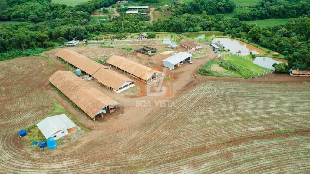 Fazenda/Sítios/Chácaras em Santa Lúcia - Centro