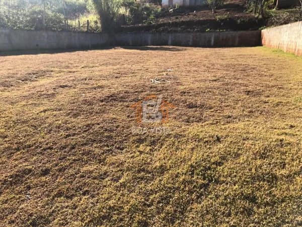 Lote/Terreno em Boa Vista da Aparecida - Centro