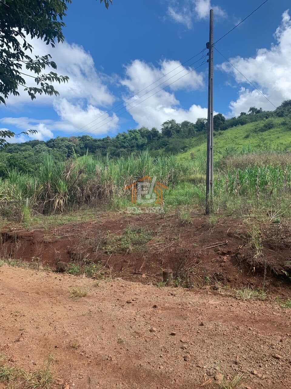 Fazenda/Sítios/Chácaras em Boa Vista da Aparecida - Centro