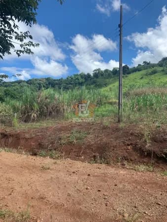 Fazenda/Sítios/Chácaras em Boa Vista da Aparecida - Centro
