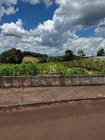 Lote/Terreno em Boa Vista da Aparecida - Centro