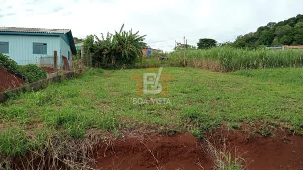 Lote/Terreno em Boa Vista da Aparecida - Centro