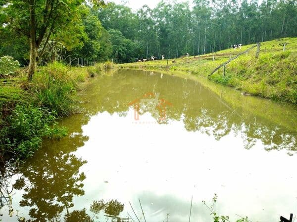 Fazenda/Sítios/Chácaras em Boa Vista da Aparecida - Centro