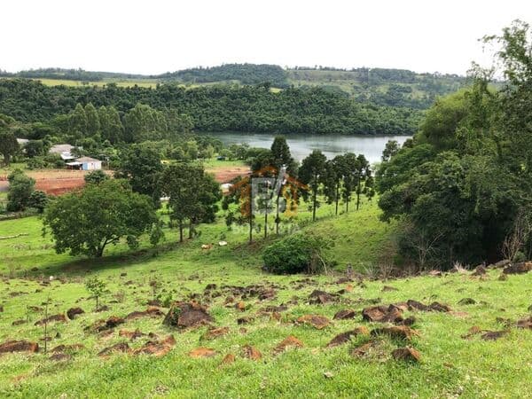 Fazenda/Sítios/Chácaras em Boa Vista da Aparecida - Centro