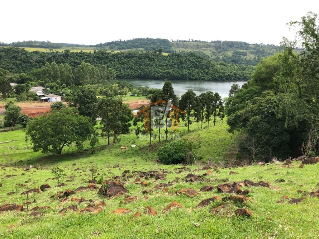 Fazenda/Sítios/Chácaras em Boa Vista da Aparecida - Centro