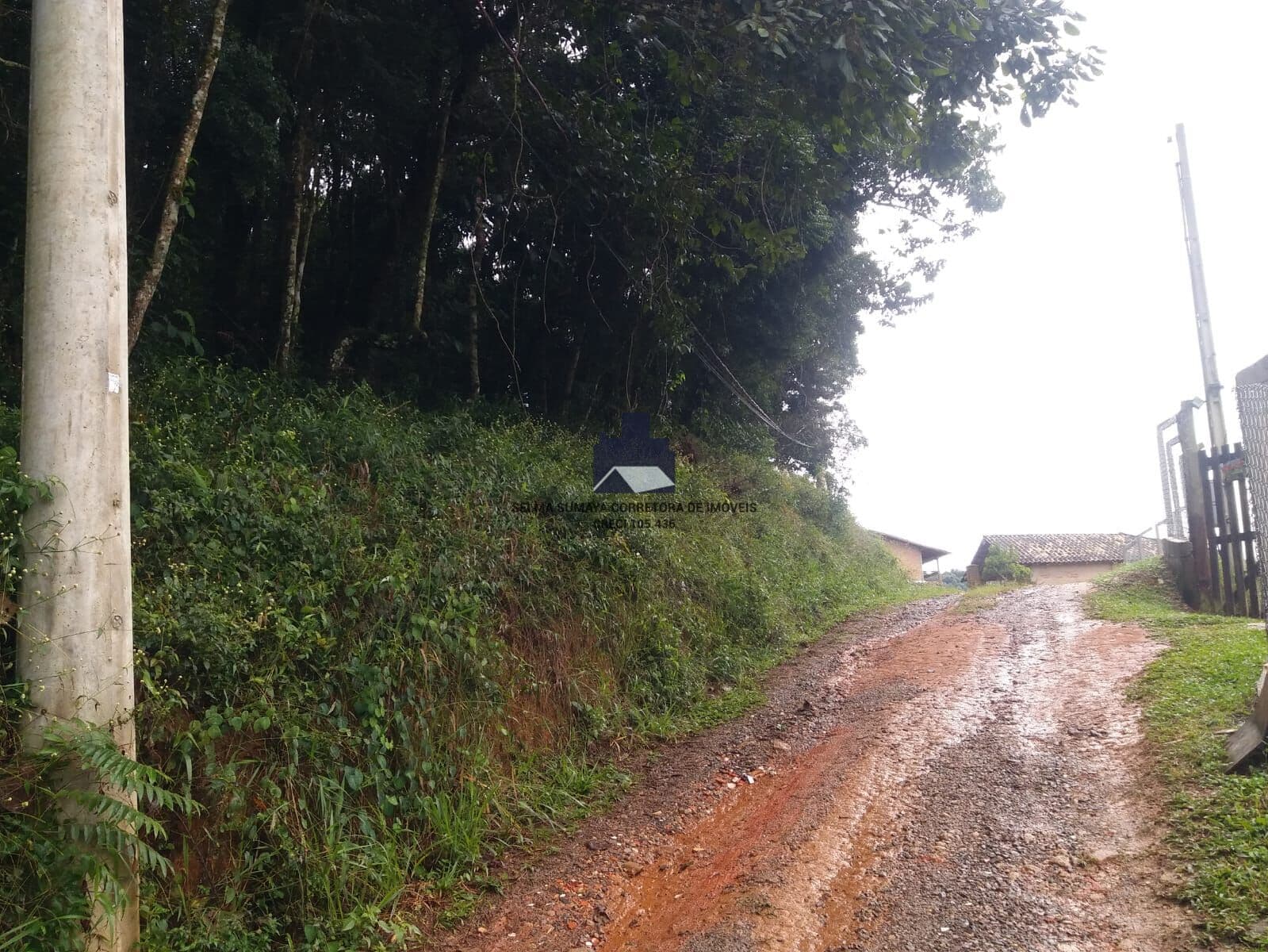Lote/Terreno em Santo Antônio do Pinhal - Barreirinho