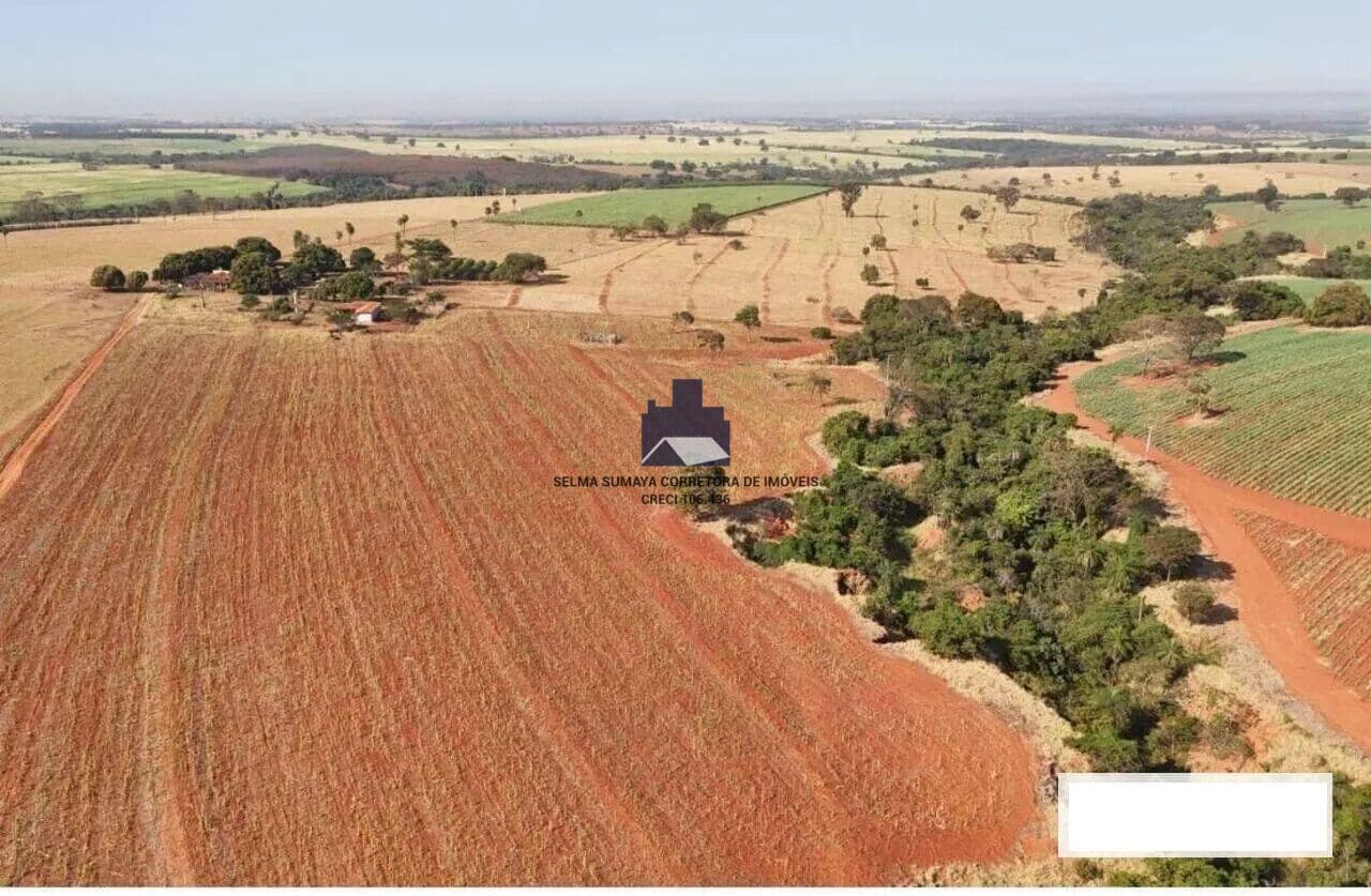 Fazenda/Sítios/Chácaras em Palestina - Zona Rural
