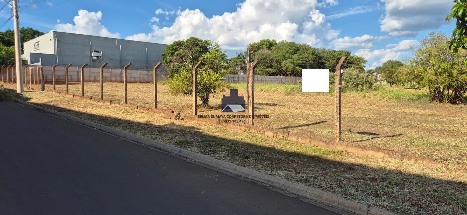 Lote/Terreno em Cedral - Estancia das Paineiras
