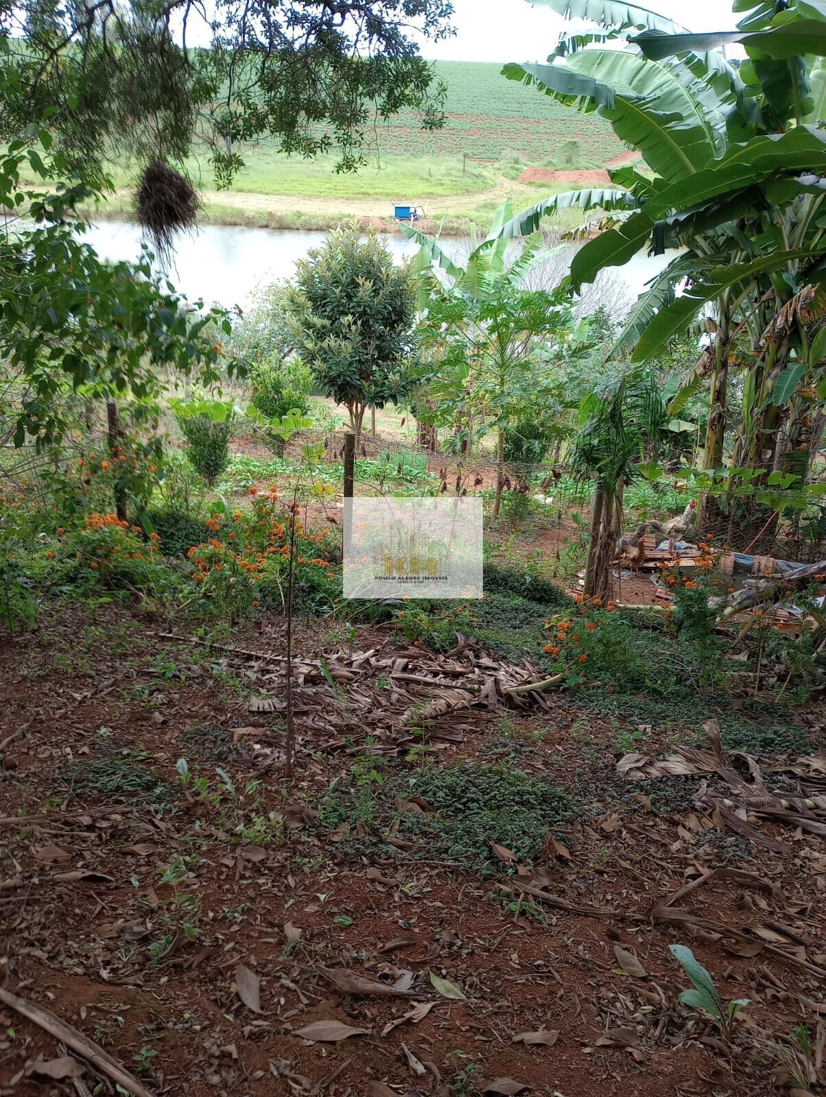 Terreno - Bairro Limeira - Pouso Alegre-MG - R$450.000,00