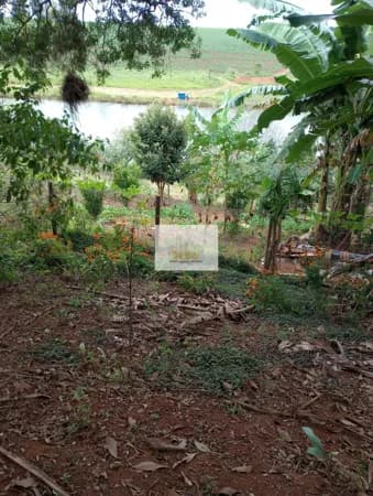 Terreno - Bairro Limeira - Pouso Alegre-MG - R$450.000,00