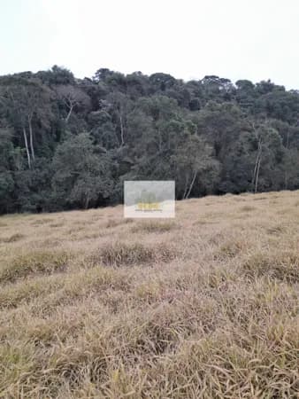Terreno - 720.000,00