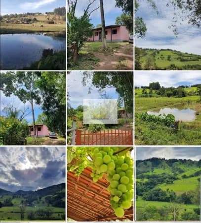 Chácara à venda São José do Pantano - R$550.000,00
