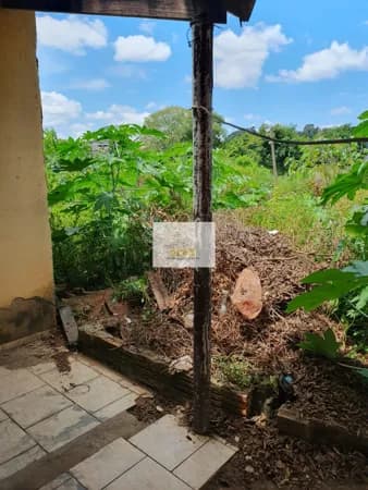 Lote de esquina bairro Ribeirão - R$55.000,00