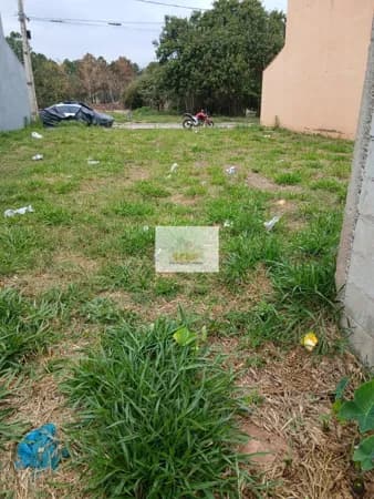 Lote no Árvore Grande Disponível para Venda - R$ 250.000,00