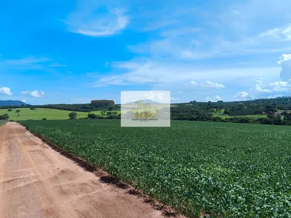 Fazenda em Centro, São Sebastião do Paraíso/MG