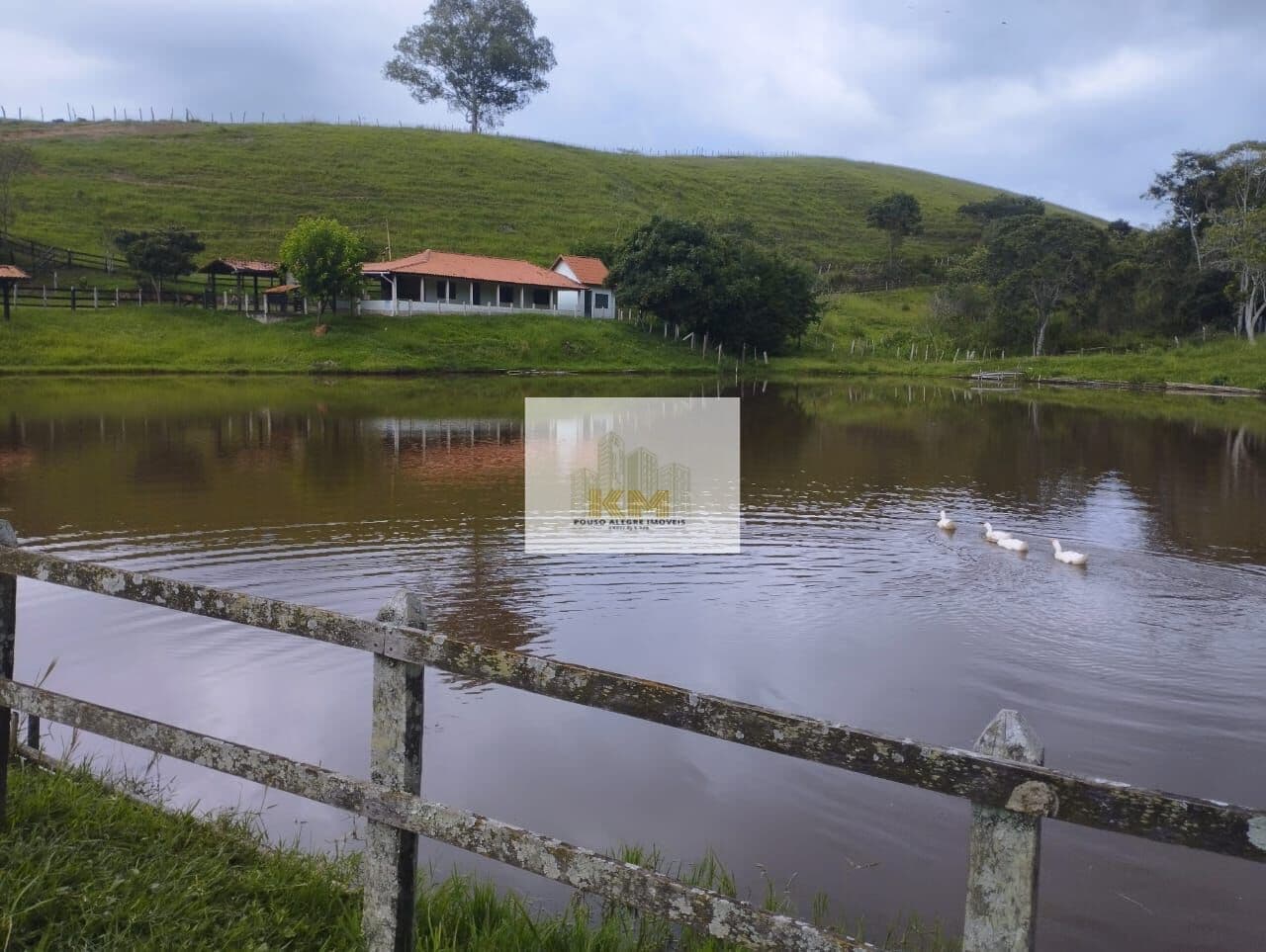 Fazenda - R$2.500.000,00