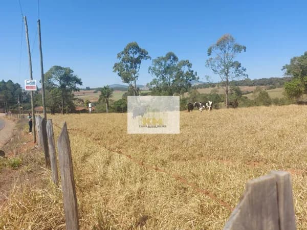Área no Algodão 26000mts² valor R$4.368.000,00