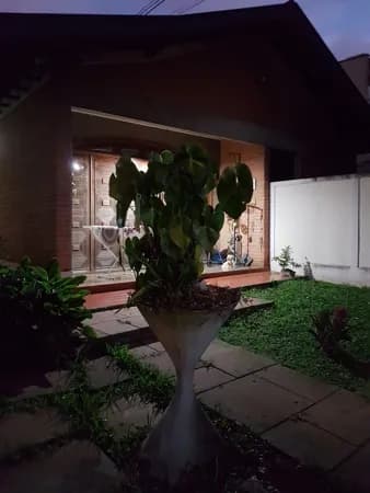 Casa Térrea para alugar e Aluguel em Planalto Paulista São Paulo-SP