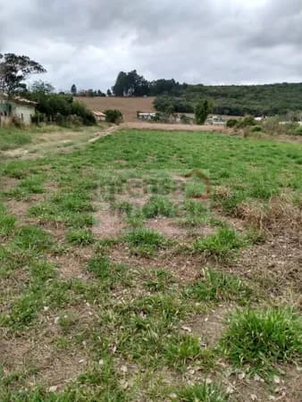 Lote/Terreno em Taubaté - Granjas Rurais Reunidas São Judas Tadeu