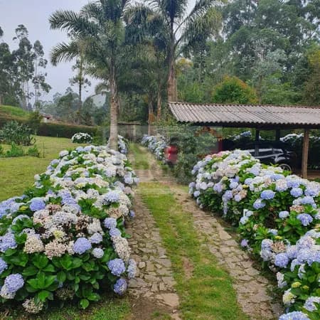Fazenda/Sítios/Chácaras em Cunha - Centro