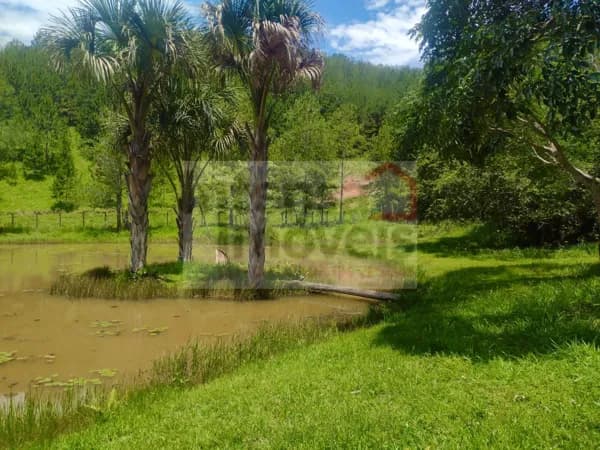 Lote/Terreno em Taubaté - Registro