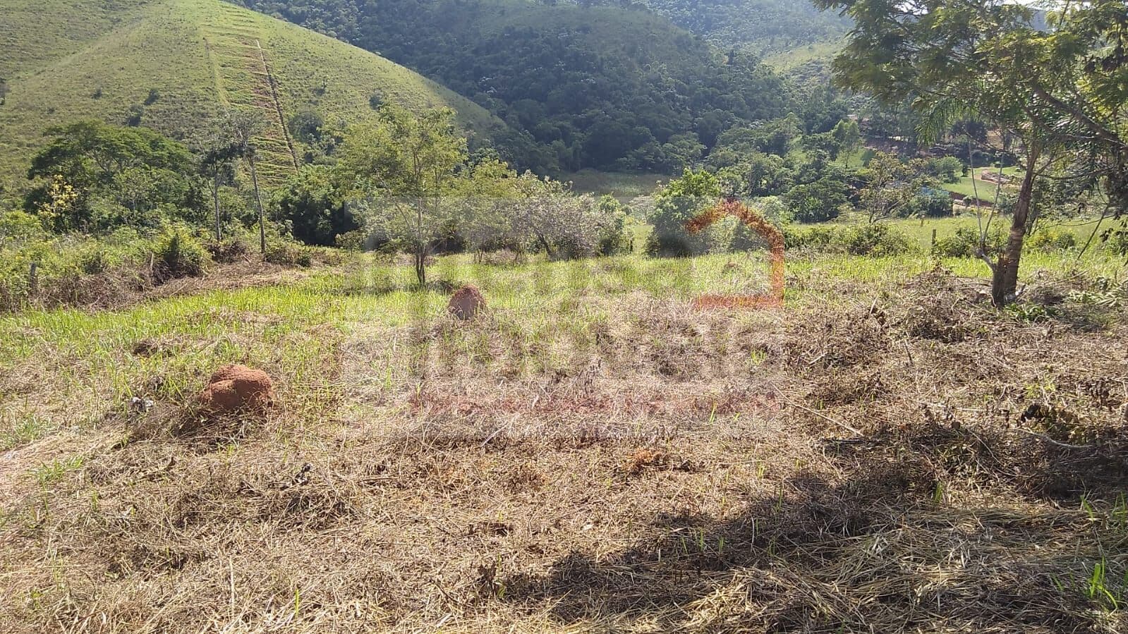 Lote/Terreno em Jambeiro - Centro